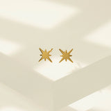 Demi-fine Burst Charm Stud