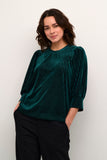 Velvet Puff Sleeves Blouse