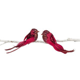 Long Tail Glitter Bird Clip