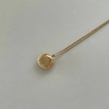 Shell Necklace