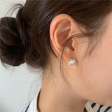 Shell Stud Earrings