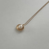 Shell Necklace
