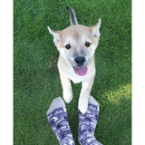 Dogs! Crew Socks