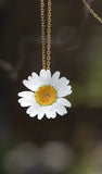 Daisy Necklace