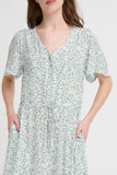 Vera Print Dress