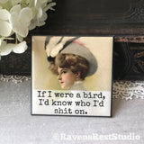 If I Were a Bird Magnet