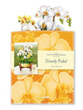 Serenity Orchid Paper Bouquet