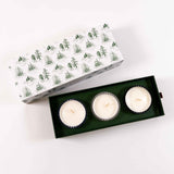 Cypress & Fir Boxed Gift Set